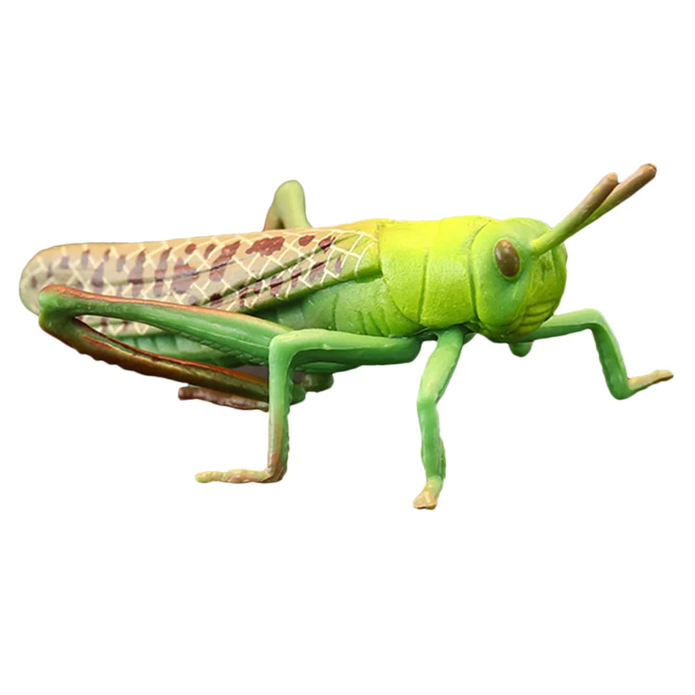 Locust Animal Model Toys Artificial Childrens Figurines Early Educational Plaything Kids Playthings Decorate