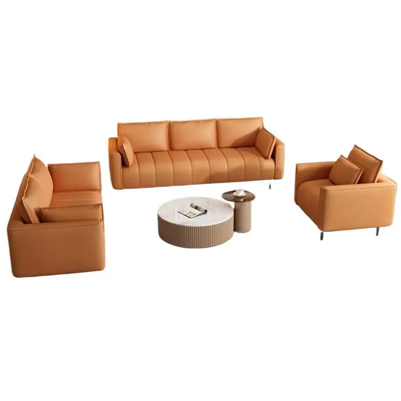 

Small apartment sofa, cat scratching small living room apartment rental sofa