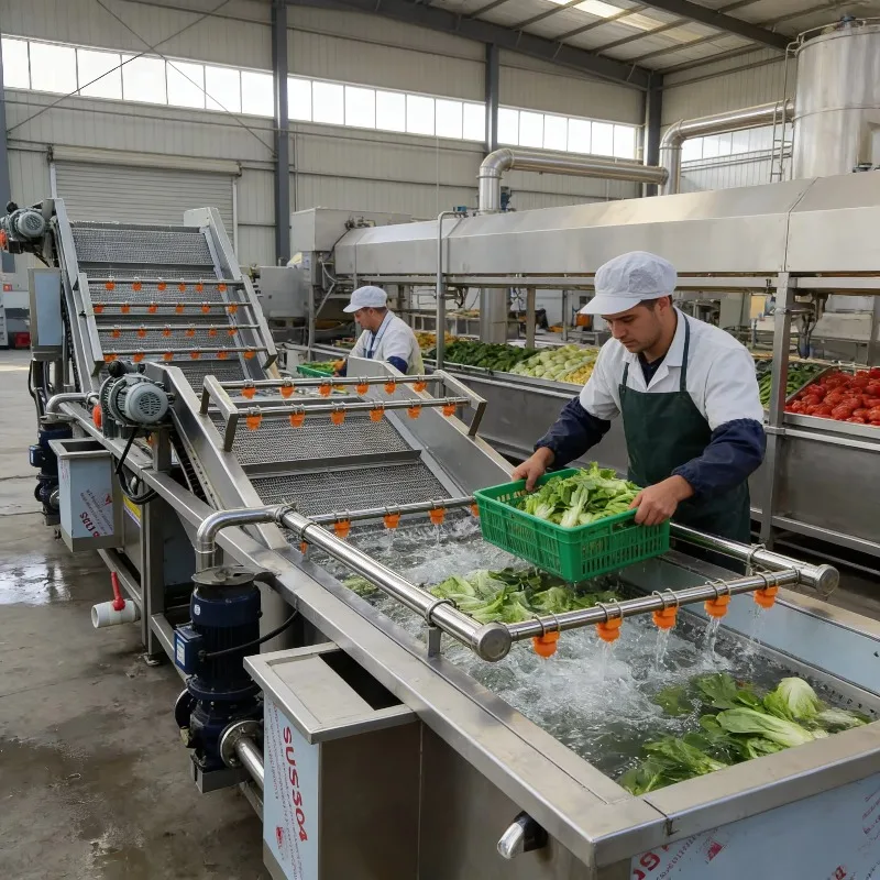 Food Grade Washing Line High Efficiency for Spinach Lettuce Cabbage Leafy Greens Fruit Vegetable Cleaner Custom