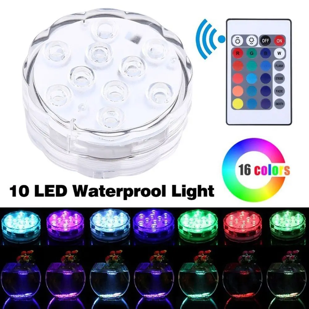 Swimming Pool Fishb…