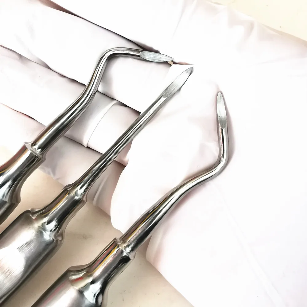 3Pcs Dental Tools Teeth Extraction Tooth Extracting Forceps Curved Root Lift Elevator Stainless Steel