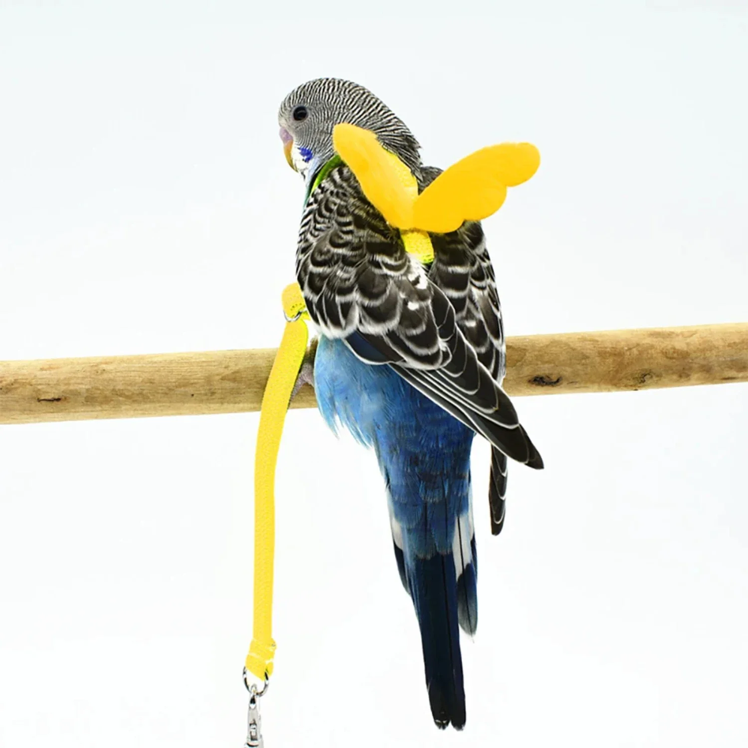 Enhance Your Bird's Experience with this Ultimate Comfort High-Quality Adjustable Comfortable Harness Leash - Durable Flying Tra