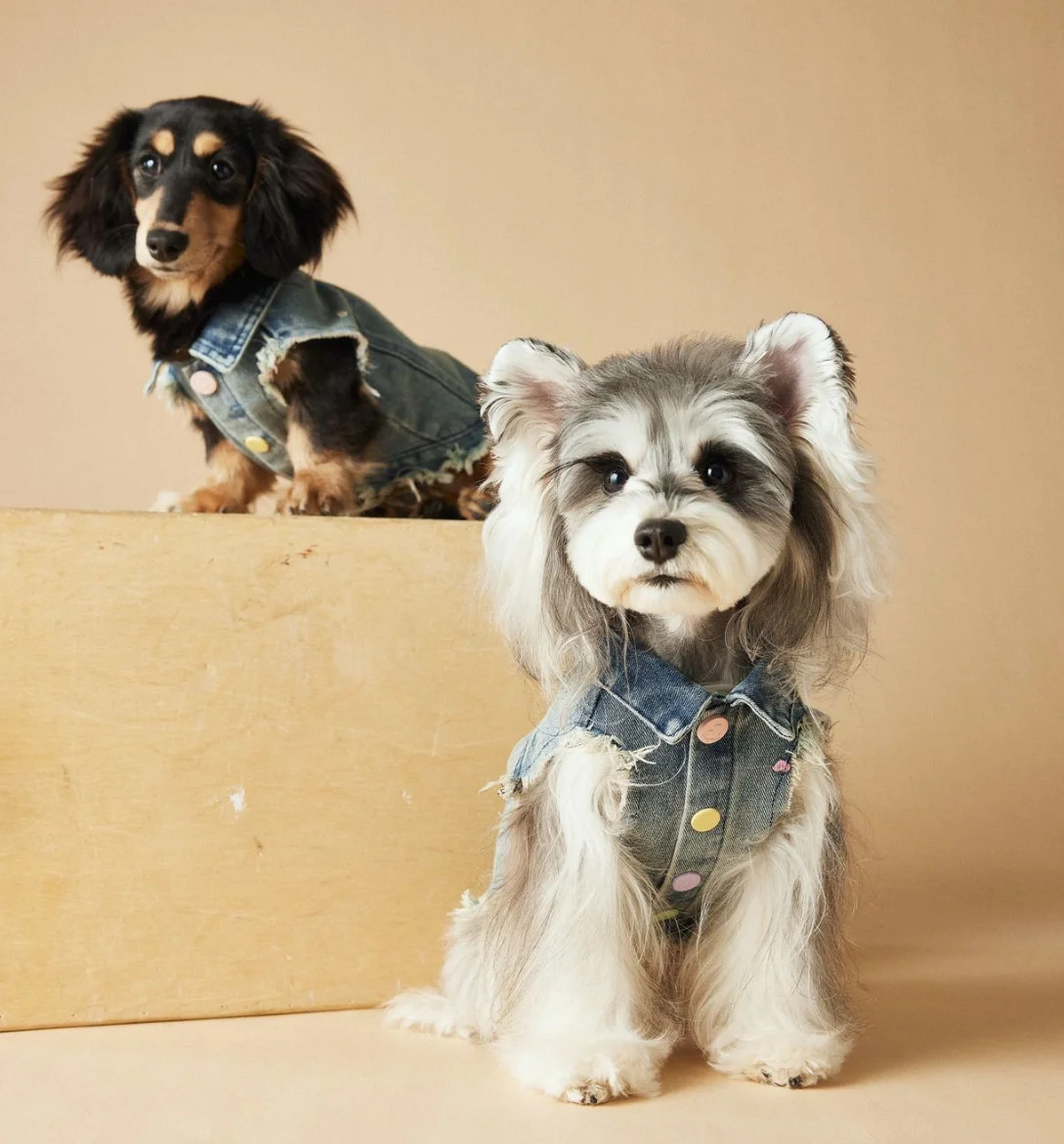 Sleeveless Cowboy Vest Dog Tank Top Tony Bears Teddy Schnauzer Marquis Love Spring Summer New Fashionable Dog Vest for Spring Su view 2