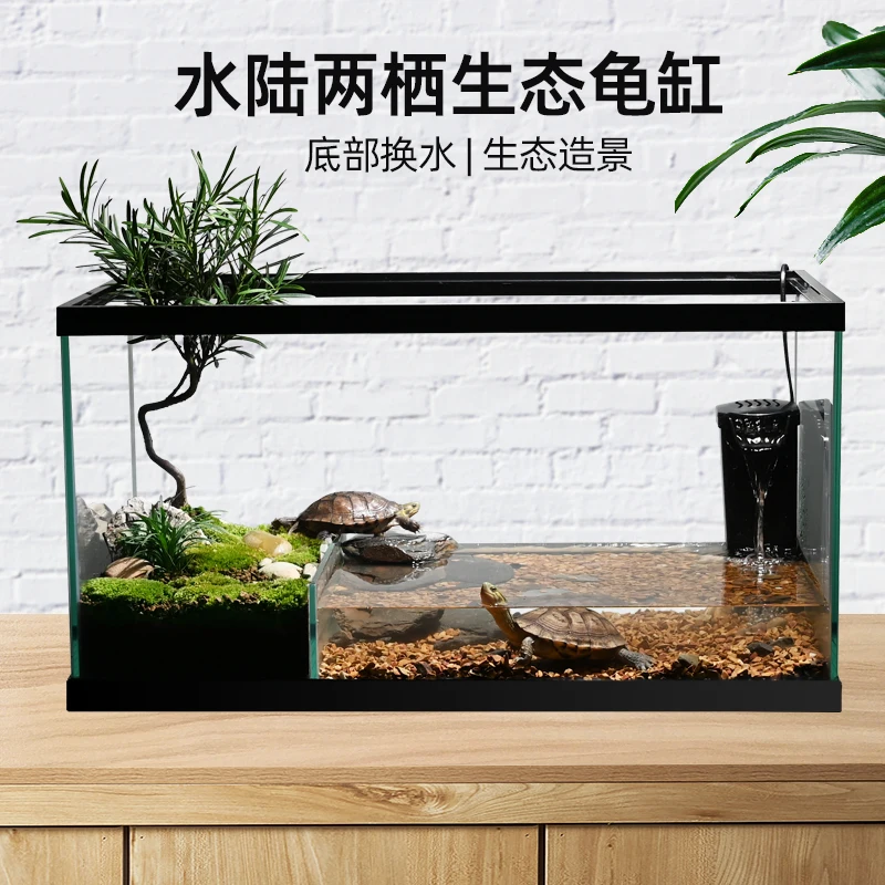 A special tank for raising turtles at home is good for changing water, ecological landscaping, green plants, glass