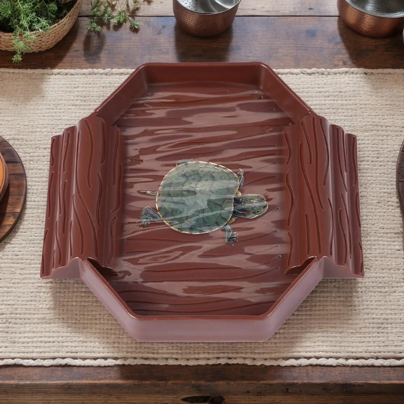 Thumbnail 2 - #46 Trending Reptile Water Bowls Right Now