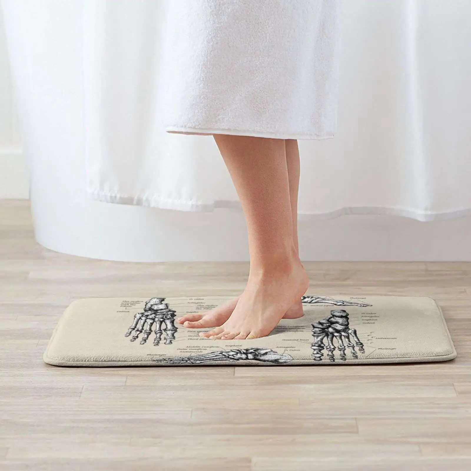 The Bones Of The Human Foot. Comfortable Door Mat Rug Carpet Foot Pad Squirrox Ankle Anatomy Foot Bones Human Bones Human Foot