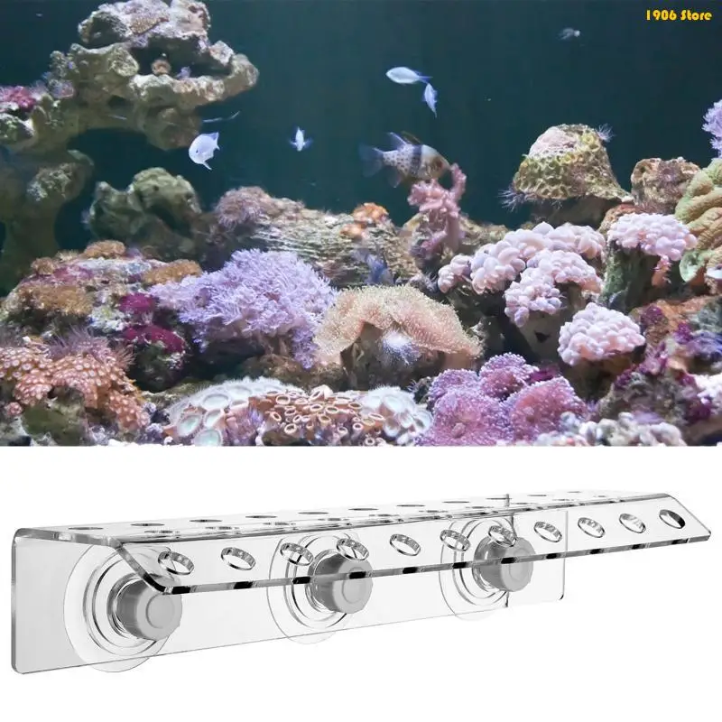 U1JB Acrylic Coral Frag Rack First Row Bending Holder 32 Plugs for Sea-origin Corals