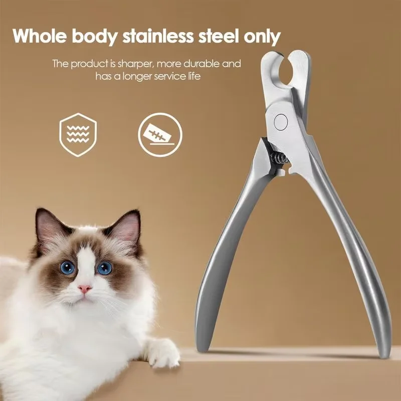 #38 Cat Grooming Comparison Guide