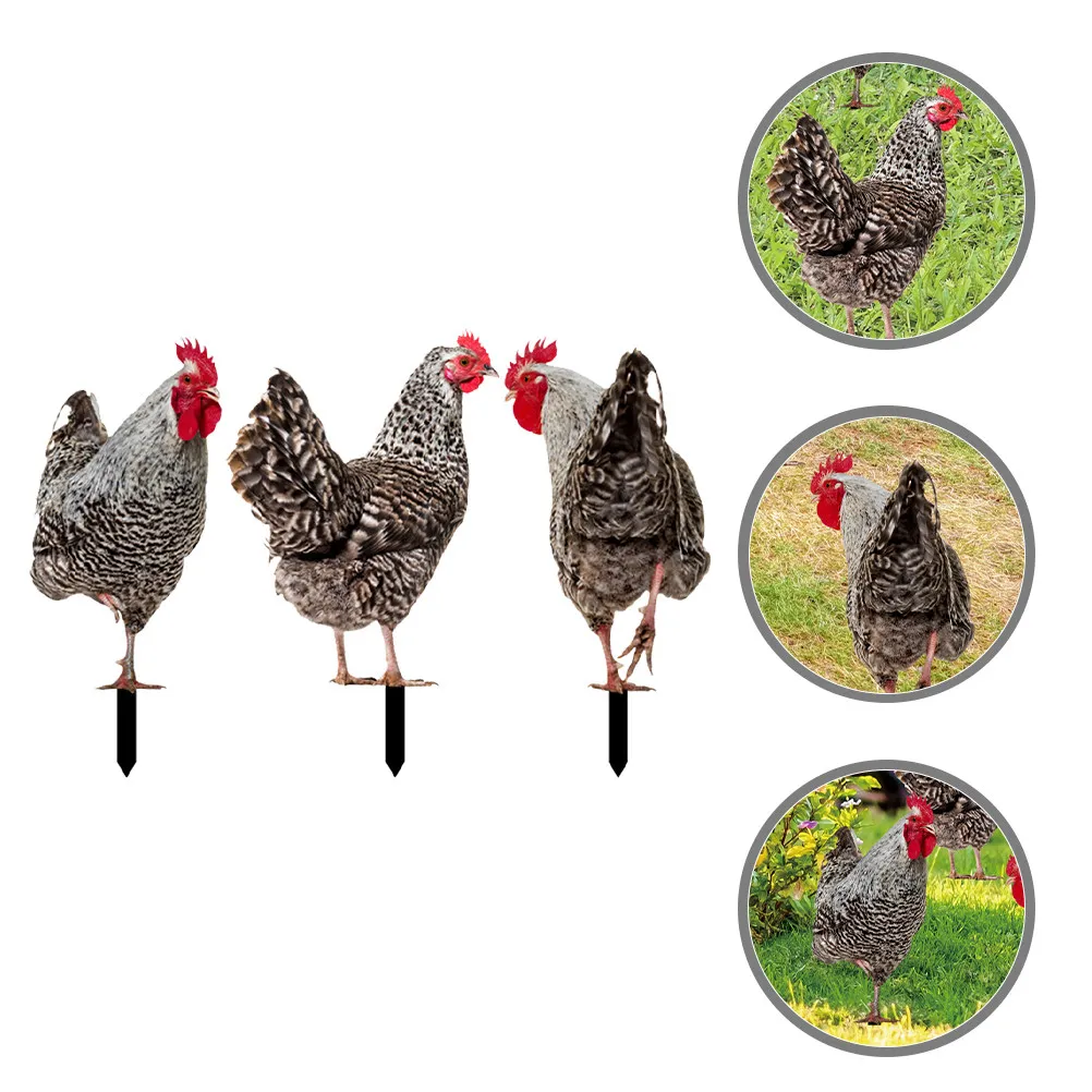 3Pcs Chicken Shaped Garden Stake Decor Acrylic Yard Decoration for Lawn Patio Outdoor Ground Inserted Adorable Eye Catching