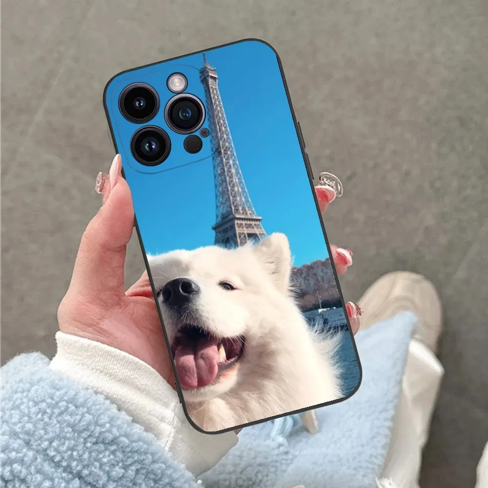 Samoyed Dog Phone Case For iPhone 16,15,14,13,12,11,Plus,Pro Max,XS,X,XR,SE,Mini,8,7 Soft Silicone Black Cover