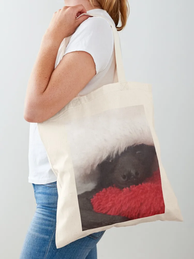 Christmas Bat Not Just For Halloween . Tote Bag tote bags aesthetic hand bag ladies bag for beach Fabric