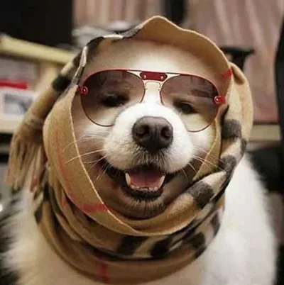 

1 шт. Защитная пластина из нержавеющей стали для передней и задней части шасси, антицарапийная пластина для радиоуправляемых моделей TAMIYA XV-01, аксессуары и запчасти для игрушечных машинок