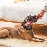Dog Bones, Bacon Flavor Tough Dog Toys Bone for Large/Medium/Small Dogs, Dog Bones for Teeth Cleaning and Training 5