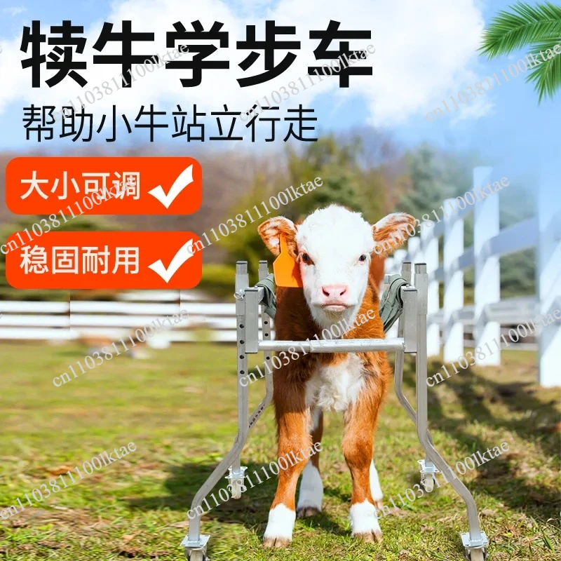 Cattle for Veterinary Calf Walkers, Standing Up Rehabilitation Vehicles, Calf Walker Breeding, Thickened and Reinforced