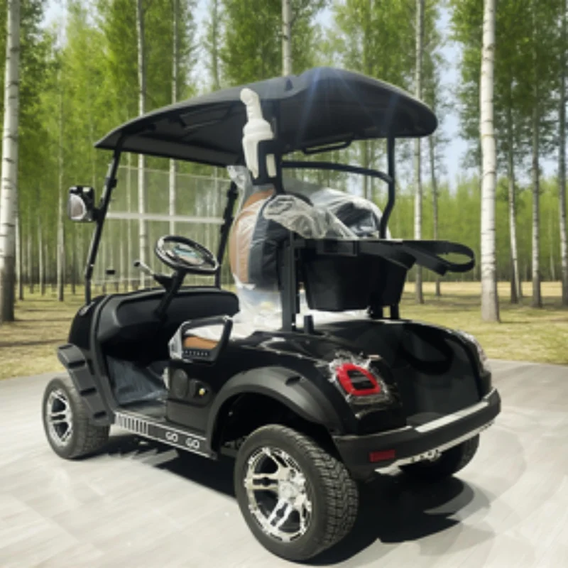 Long Range Golf Cart 14 Inch Tire Family Electric Golf Cart With Touchscreen Multimedia Player Chair Brown Leather Sand Bucket