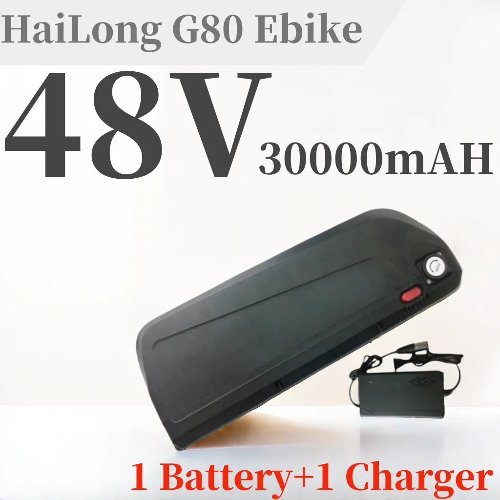 

Hailong G80 48v 30Ah 18650 13S6P electric bicycle electric scooter battery pack, with long battery life and charger