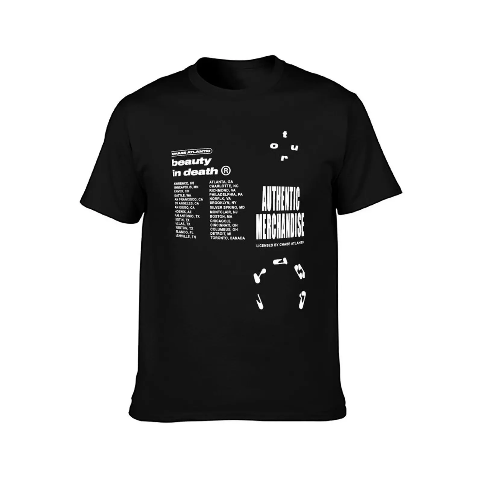 Needed Gifts Chase Atlantic Merch Beauty In Death Tour Cute Graphic Gift T-Shirt Minimalist Graphic Tee Shirt
