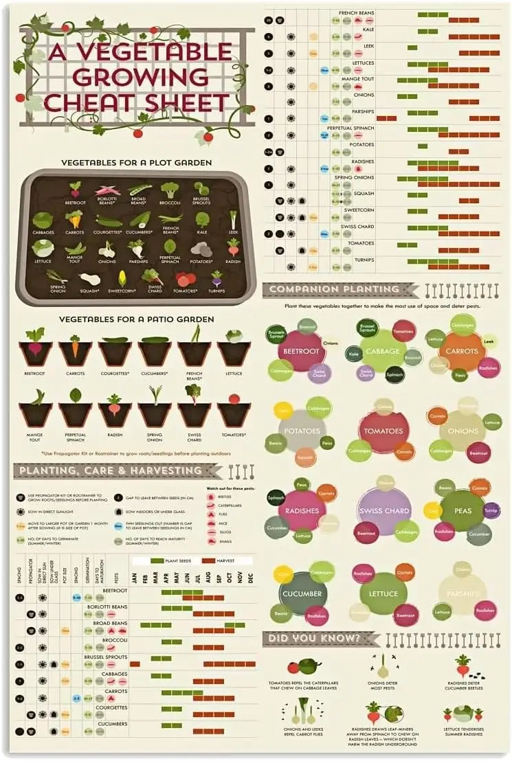 Metal Vintage Tin Sign Decor-A Vegetable Growing Cheat Sheet For Bar Pub Shop Funny Retro Art Sign 12