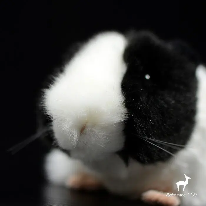 Black guinea pig , realistic guinea pig stuffed , Dutch pig Knickknack,nicknack,Small ornaments and miniature models