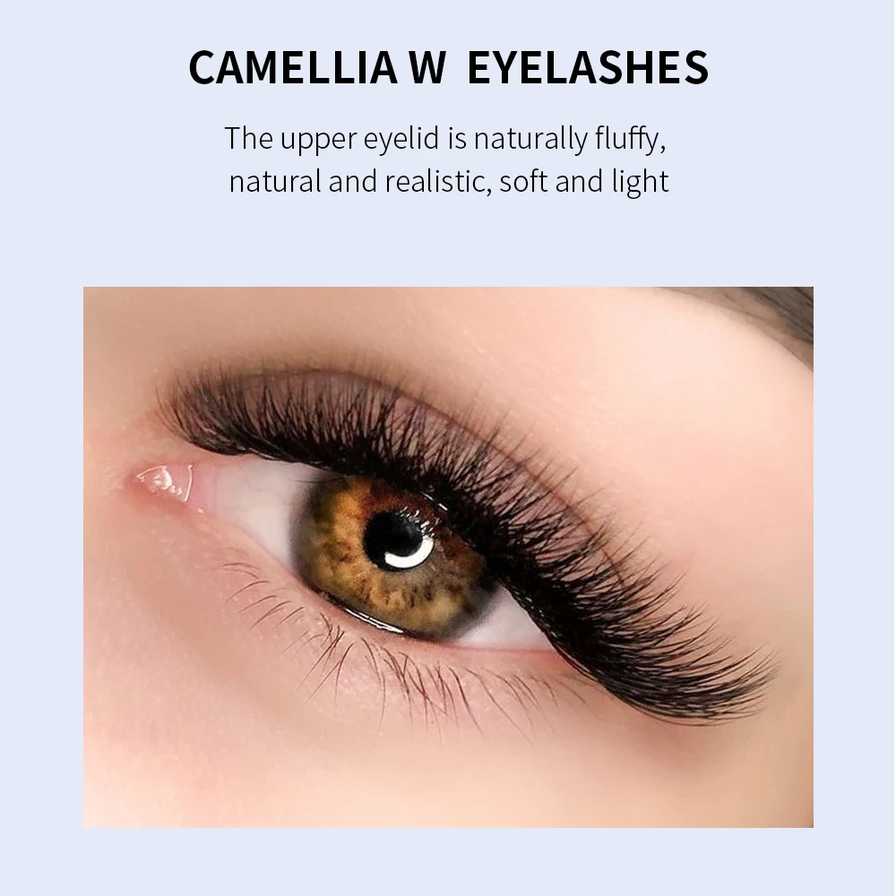 GLAMLASH C/D/L/LU/M Camellia 4D 5D W Eyelash Extensions Wholesales Premade Volume 12 Rows W Style Individual Lash Natural Soft