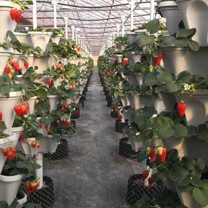 1PC Plastic Stackable Vertical Flower Plant Pot Strawberry Seedling Holder Vegetable Planters Garden Three-Petal Pot Decoration
