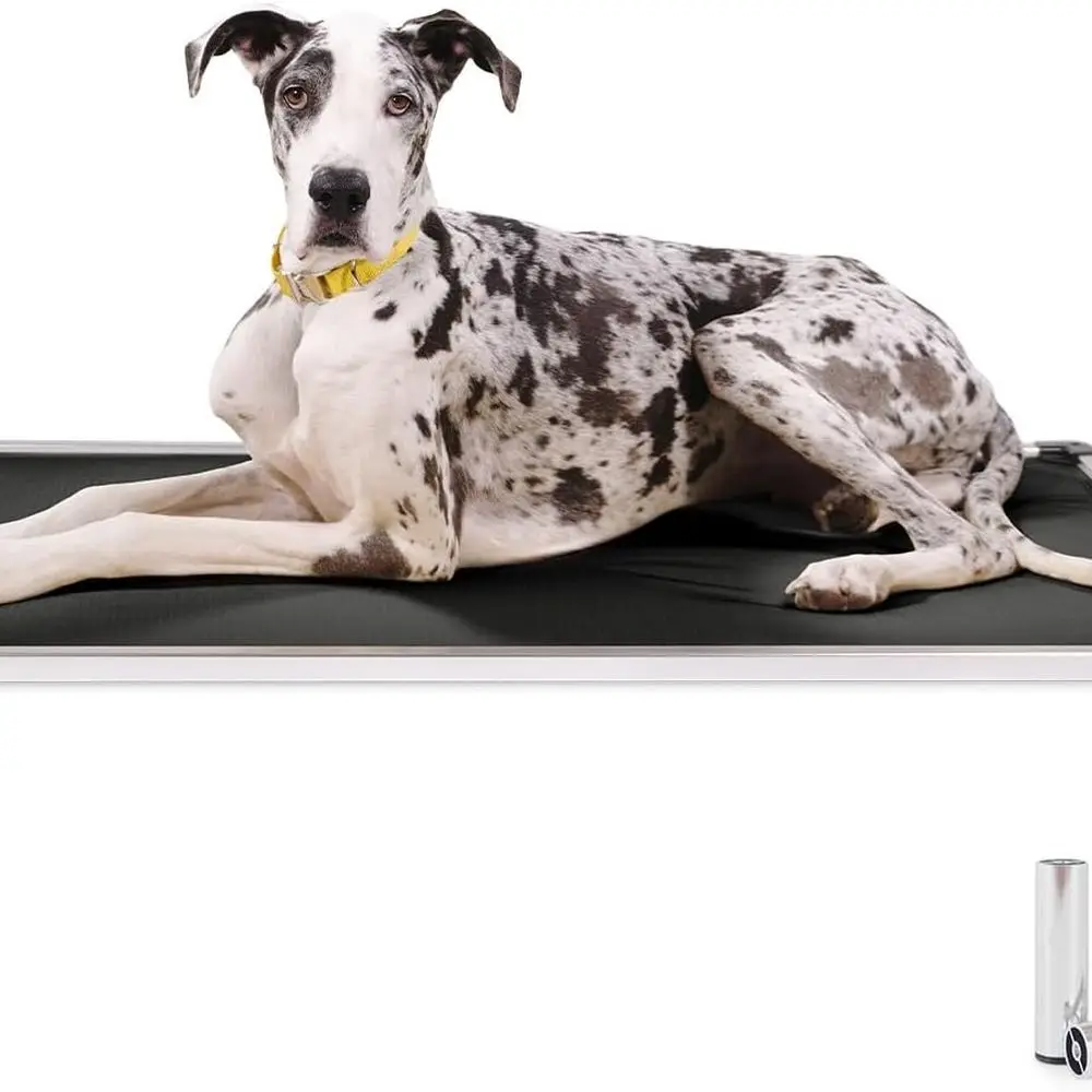 Xxl Chew Proof Dog … - image