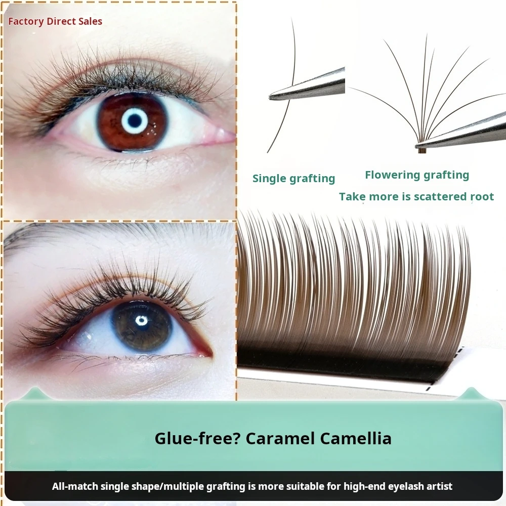 #62 Latest False Eyelash Adhesives Offers