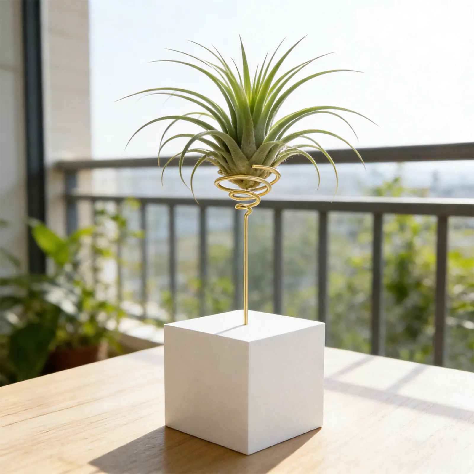 6Pcs Air Plant Display Stand Geometric Metal Flower Holder Electroplated Iron Spring Design Tabletop Wall Hanging Tillandsia