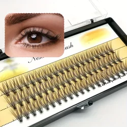 MJ 1 BOX (60 Clusters), 10D/20D 0.07C 8/9/10/11/12/13/14MM, Eyelash Extension Clusters, Single Cluster False Eyelashes Makeup