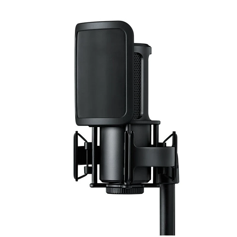 Large diaphragm condenser microphone Dual diaphragm personal recording microphone