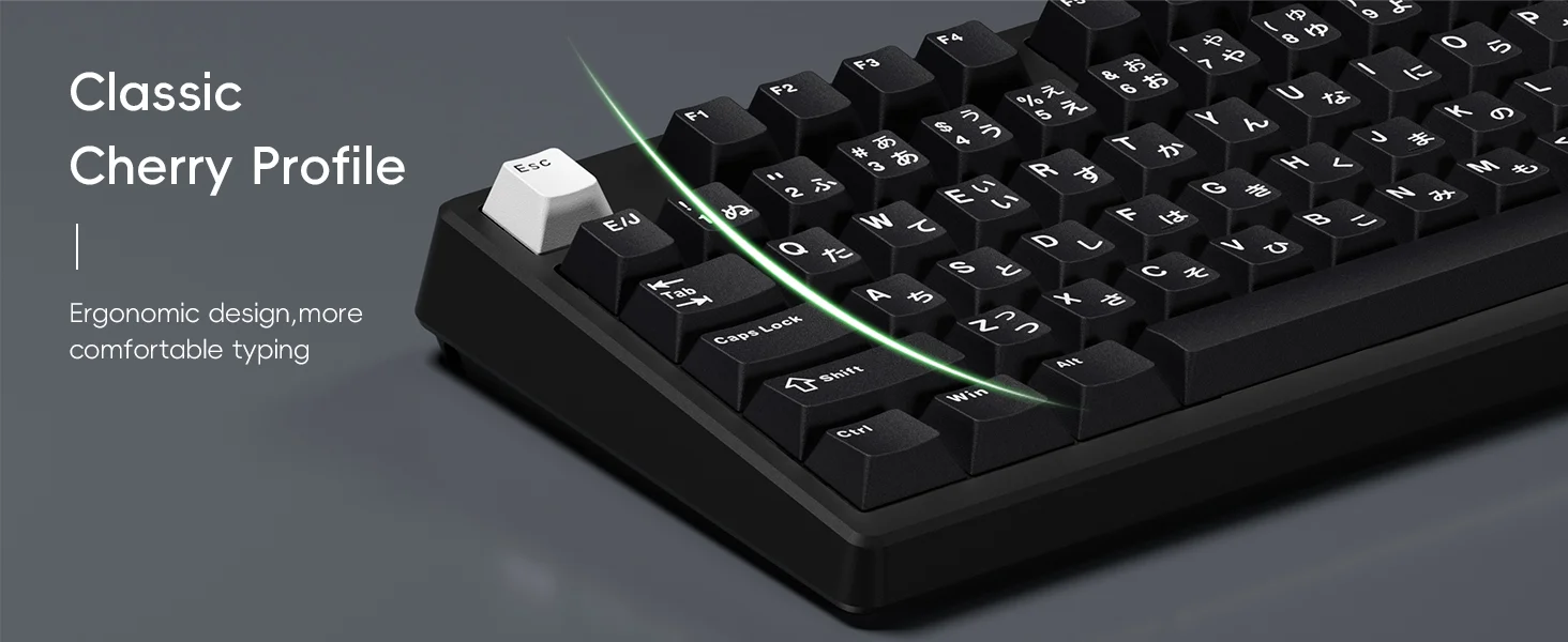 XVX Cherry Profile-Tastenkappen, japanisches Layout, JIS, schwarze PBT-Tastenkappe, nicht durchscheinend, mechanische Tastatur, Double Shot-Tastenkappe, 153-Tasten – Detail 8