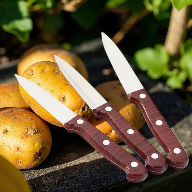 Professionelles Kochmesser, Obstmesser, Küche, Grillmesser, Peeling, rostfrei, Antihaft-Kunststoff, Küchenmesser und Zubehör – Detail 1
