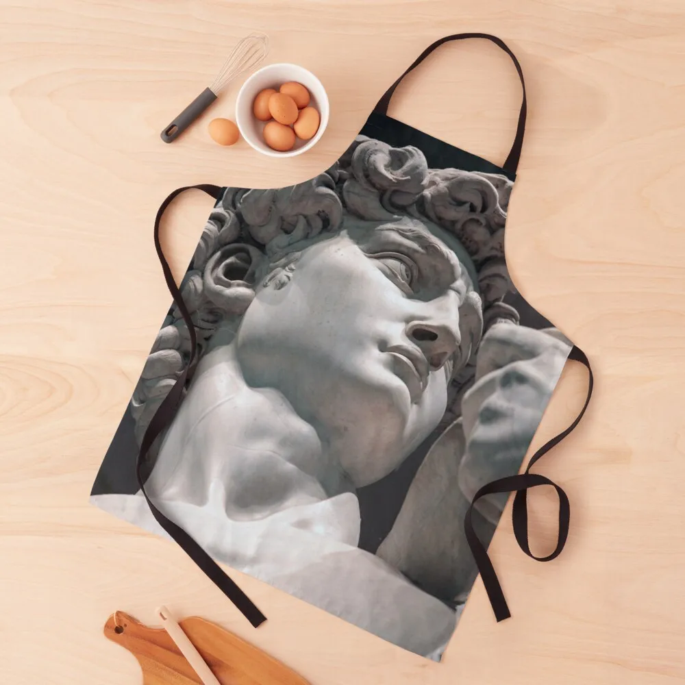 

Michelangelo David (head)(2), 1501-1504 Apron Cooking Customizable Apron