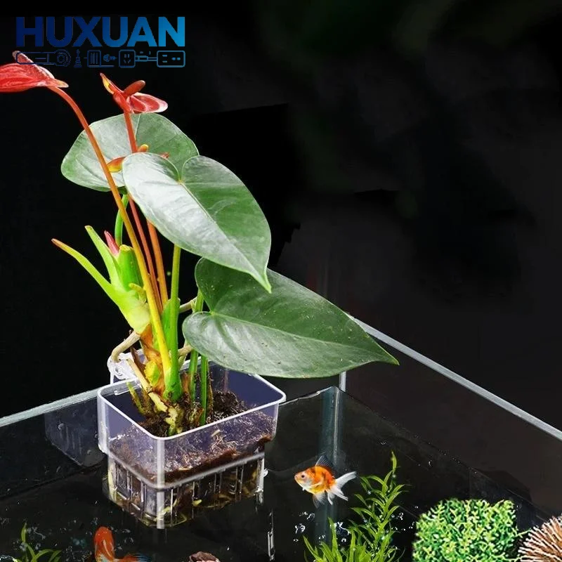 Przezroczysty wiszący doniczka – Aquarium Plant Easy To Grow recenzja i cena
