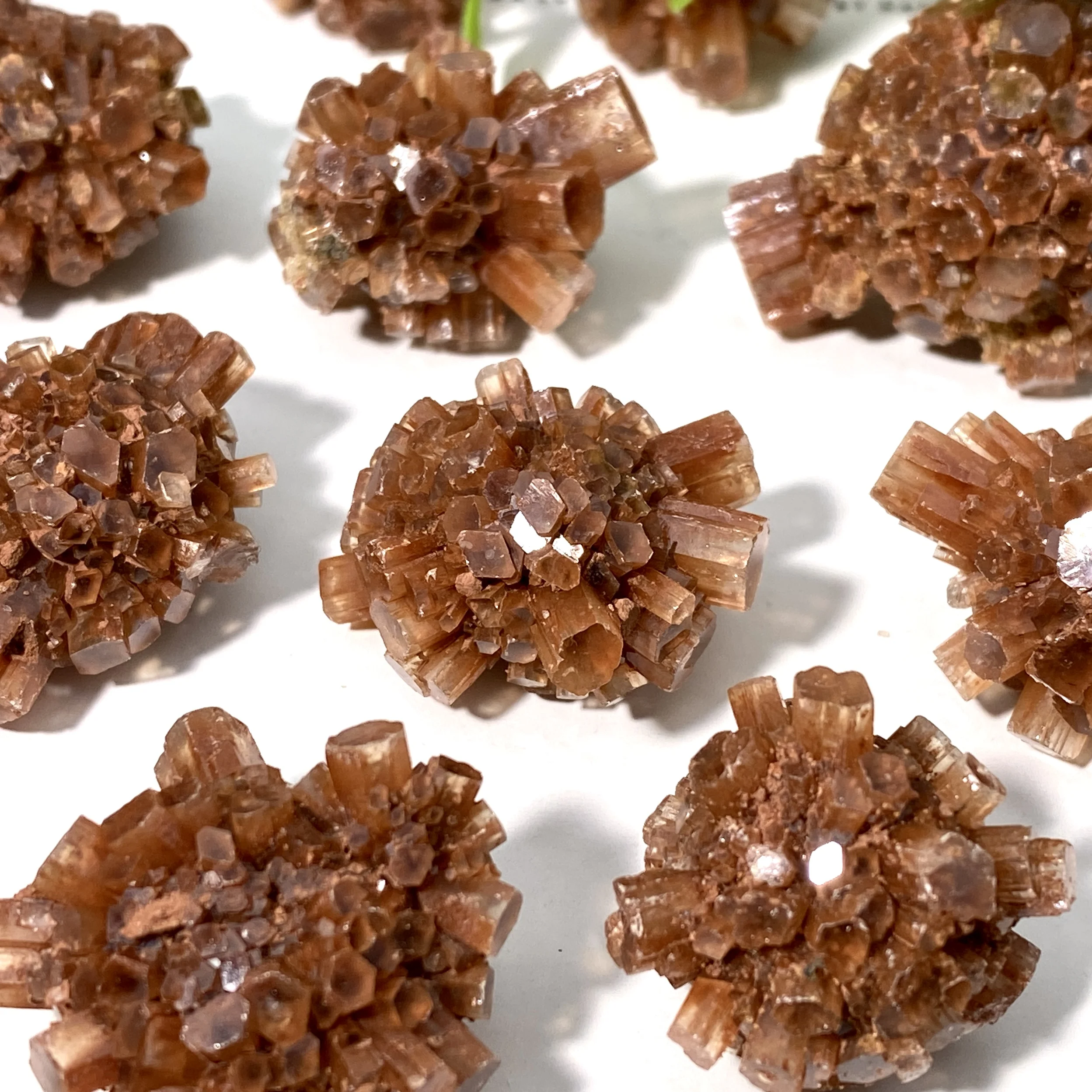 1PC Random High Quality Natural Moroccan Flower Cluster Aragonite, Rare Gem Ornaments,Gifts From Family And Friends.