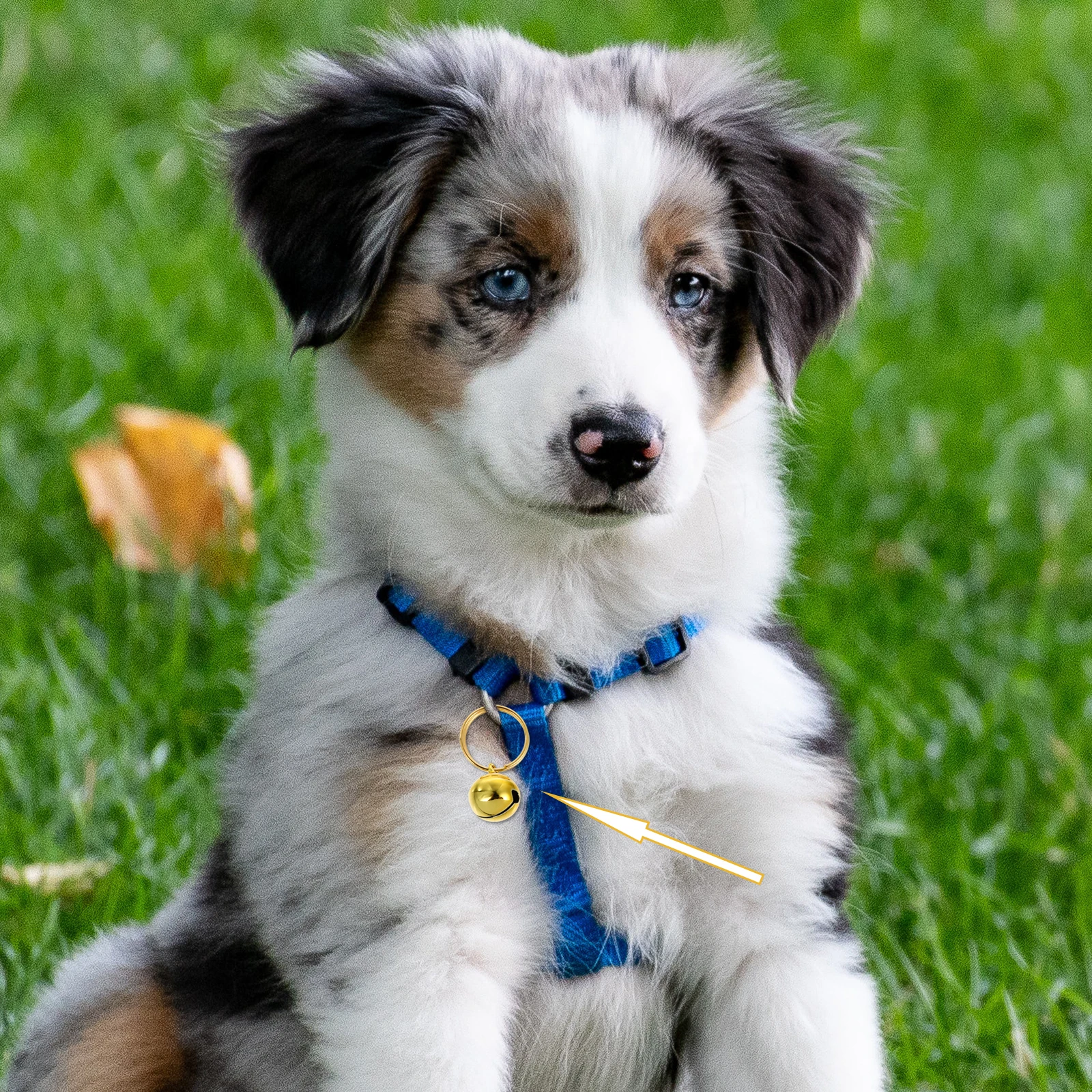 

20pcs Copper Bells 12mm Golden Hanging Pet Decoration for Dog Collar Kitten Crafts DIY Christmas Accessories Birthday nament