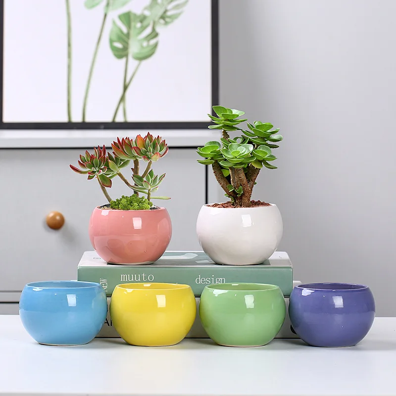 Bonsai Mini Ceramic Flowerpot Cute Succulent Flower Planting Pot Office Desktop Decoration for Garden Yard Living Room Balcony