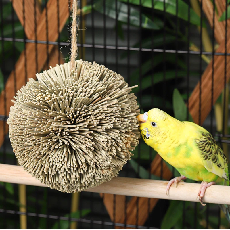 Thumbnail 4 - #29 Trending Hanging Bird Chew Toys Right Now