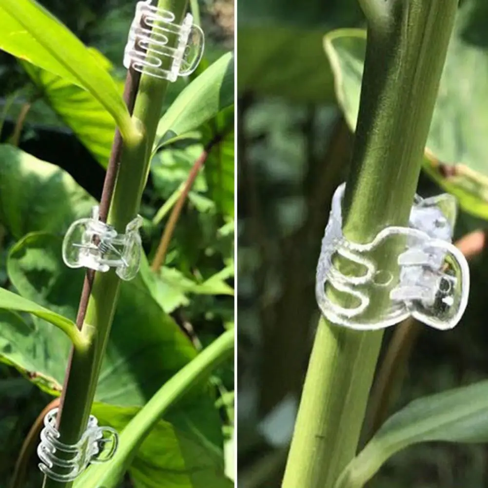 Climbing Plant Clips Transparent Plant Support Clips Orchid Claw Clips Adjustable Flower Stem Holders for Vines Tomatoes 95