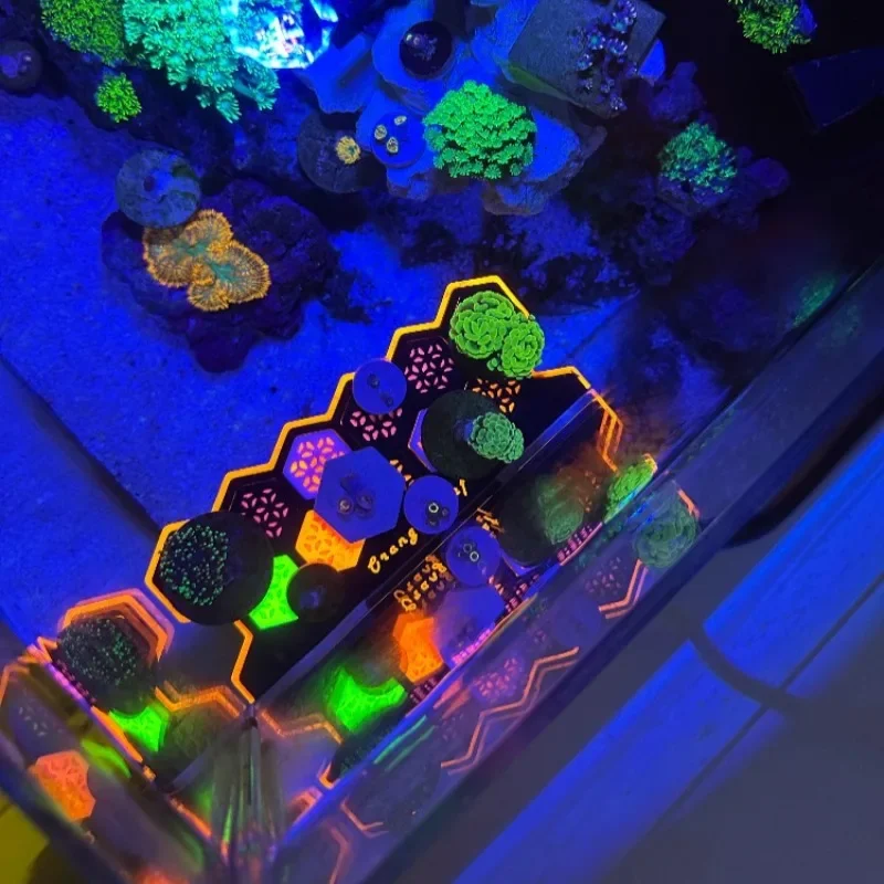 Fluorescent Coral Frag Plugs Luminescence Coral Reproduction Base Aquarium Decorations Ornaments