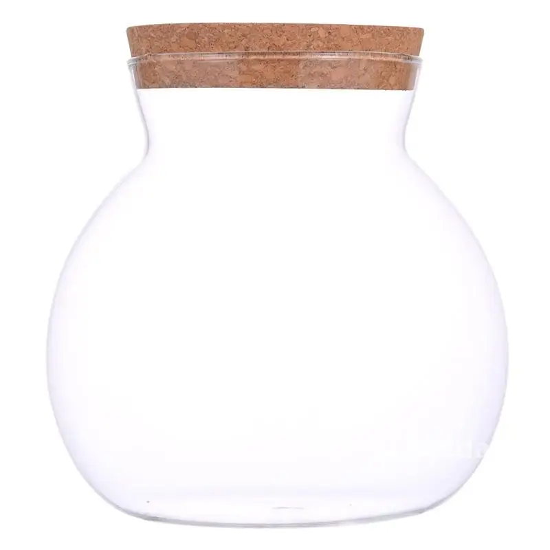 

Боросиликатное стекло, гидропонная бутылка для растений, микропейзаж, настольная ваза, экологически чистый аквариум со светом, маленький