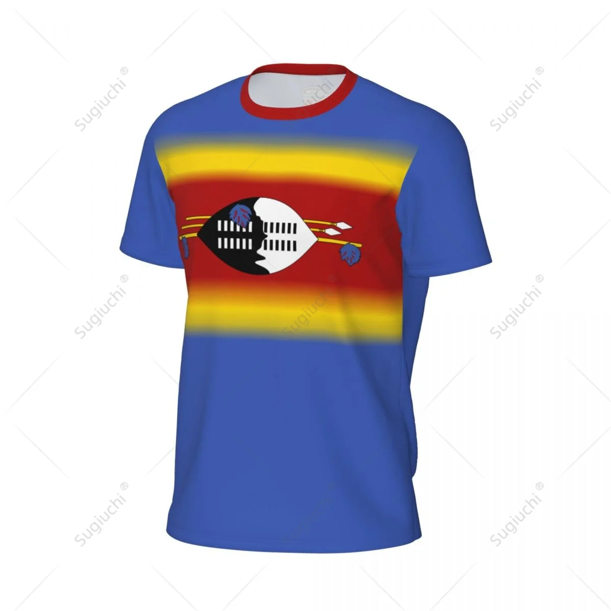 Sports Mesh T-shirt Eswatini Flag For Running Bike Soccer Tennis Football Fitness Tees 3D Printed Custom