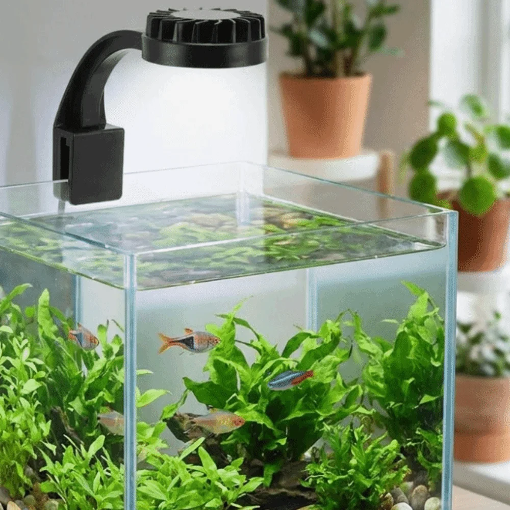 High Brightness Aquarium Clip Lamp Mini Clip Light USB Charging LED Fish Tank Light Energy Efficient Aquarium LED Light