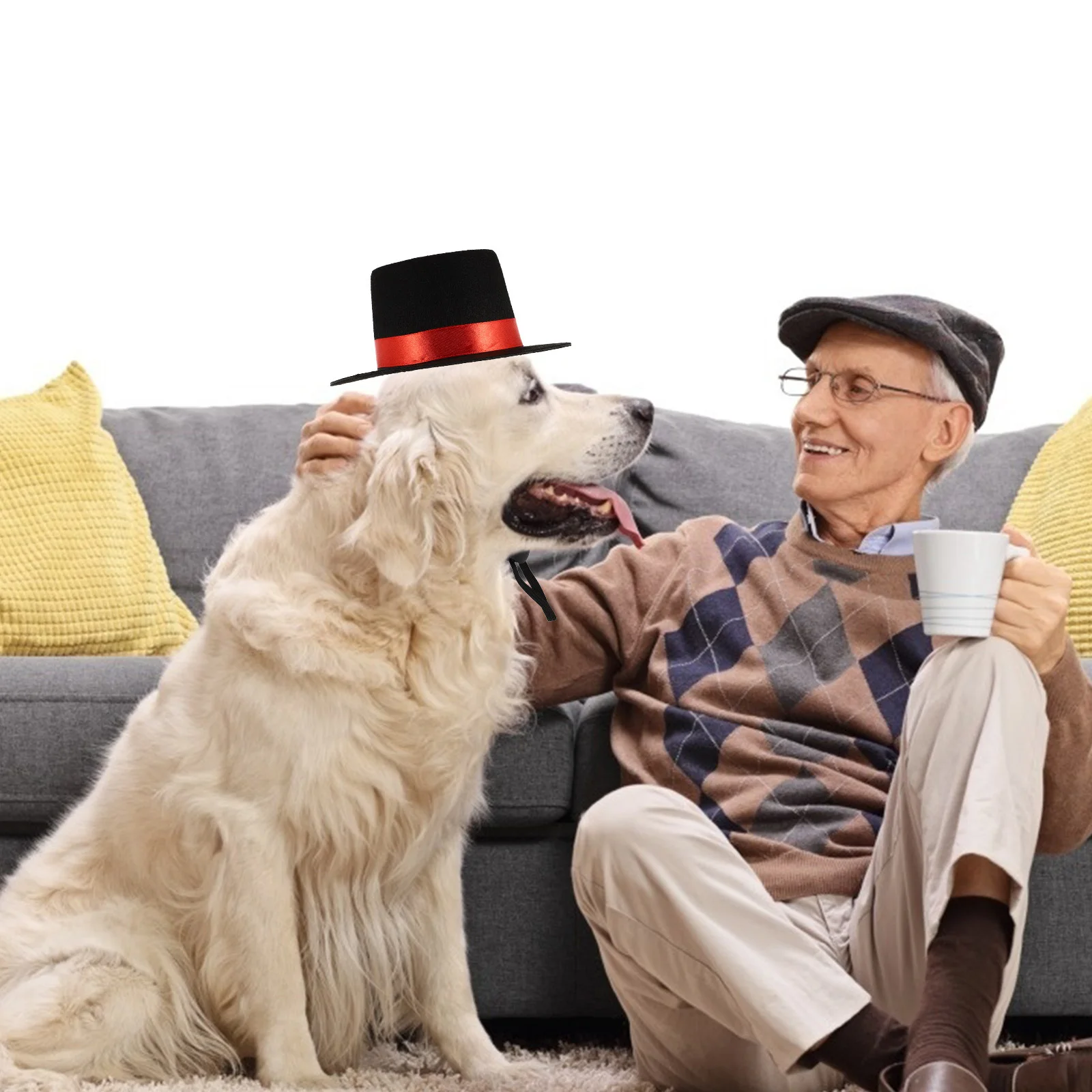 

Hat Premium Non-Woven Fabric Lovely Durable Pet Hat for Party Birthday Photo Prop Costume for Dogs Cats Pets