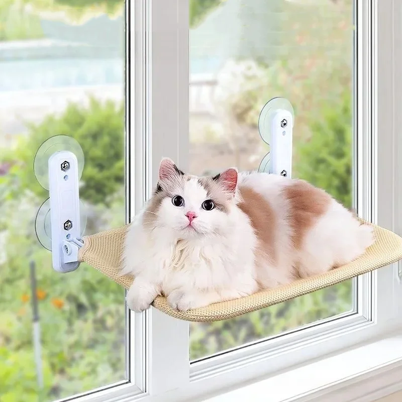 #66 Latest Plush Pet Beds Offers