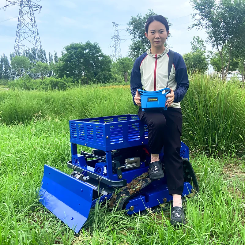 Customized Self-Propelled Zero-Turn Lawn Mower - All-Terrain Remote Control Robot with Storage Rack & Discounts