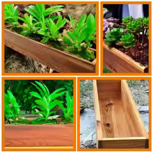 Wood 30