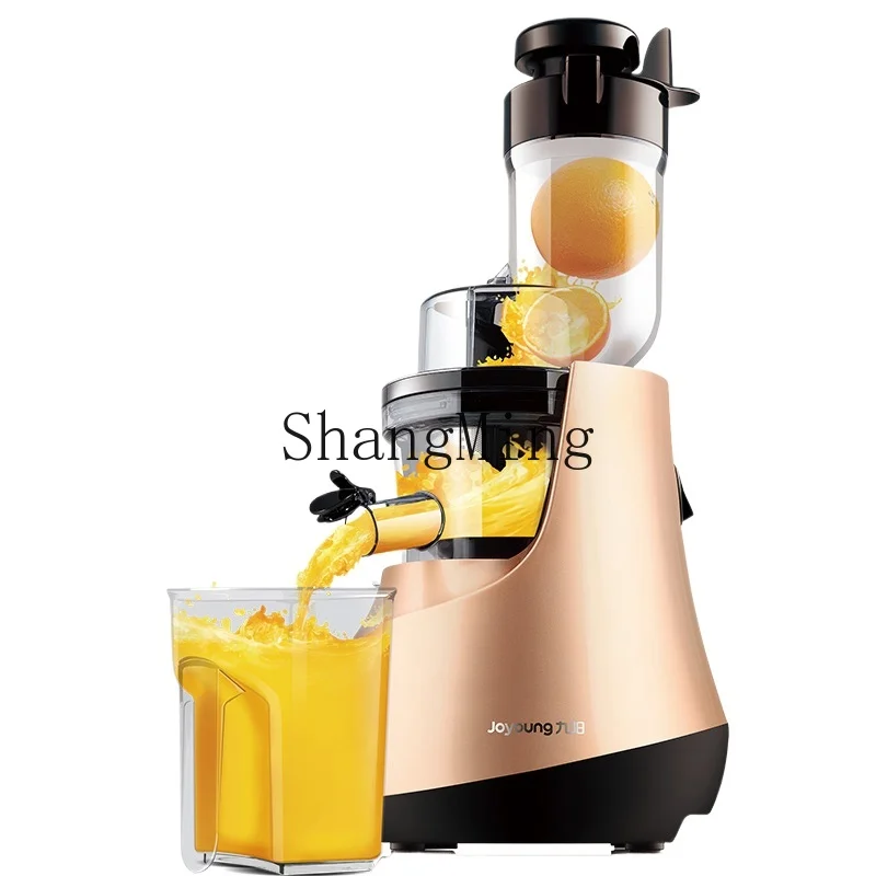 

ZYY Multifunctional Large Caliber Household Automatic Fruit and Vegetable Juicer Fried Juice Machine