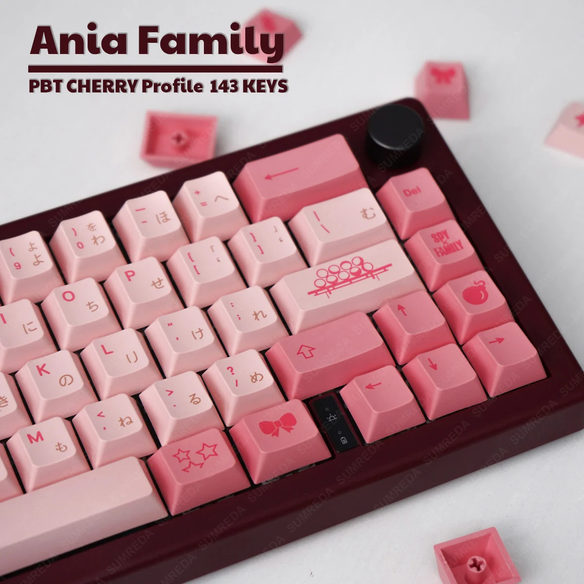 Ania Family Keycaps 143Key PBT Cherry Profile DYE Sub ISO Enter 3u 7u Space bar Keycaps For Record Alice Leobog Hi75 Hi8 Sugar65