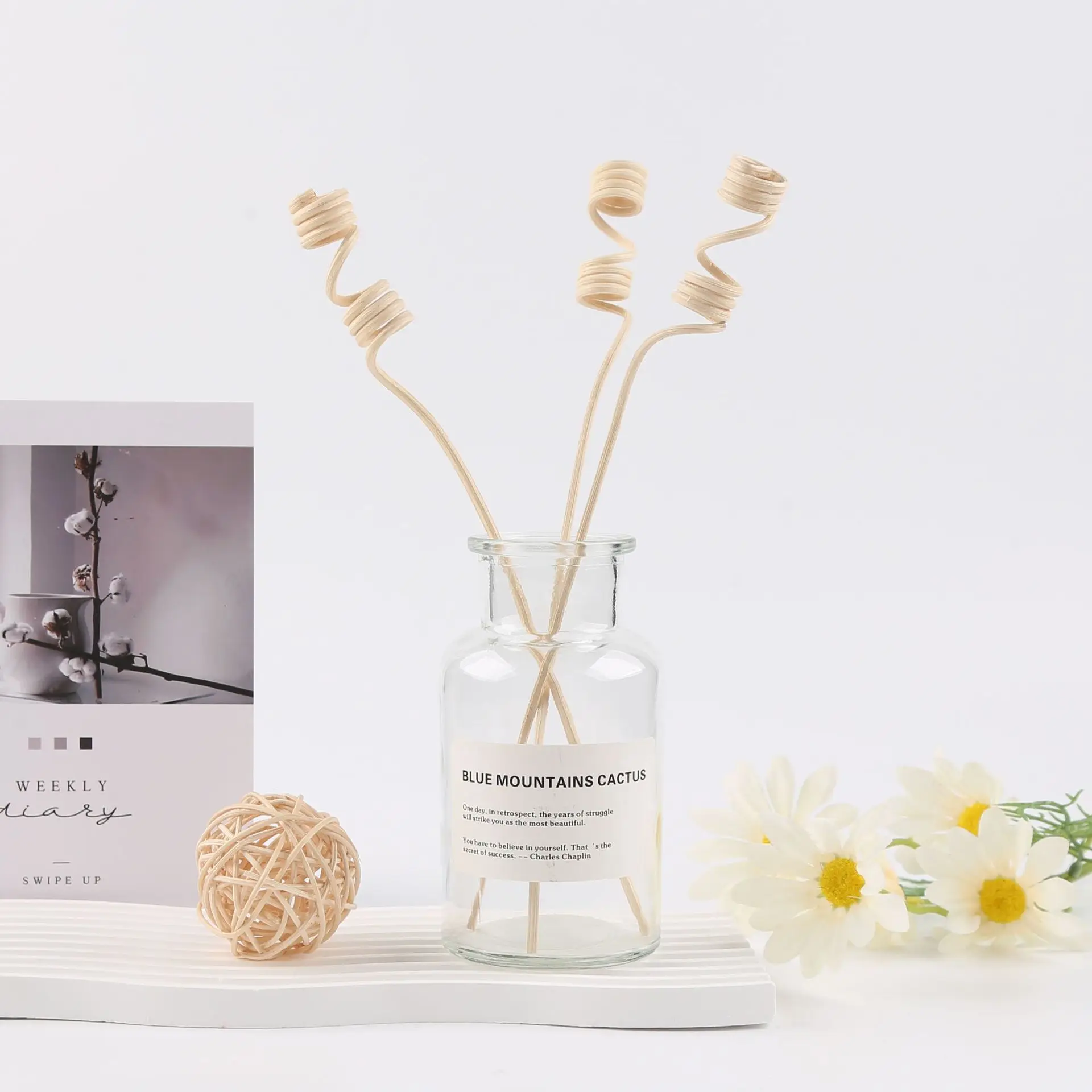 10pcs Natural Wood Ball Aroma Diffuser Reeds Home Fragrance Aromatherapy Reed Sticks DIY Rattan Home Decor for Oil Scents